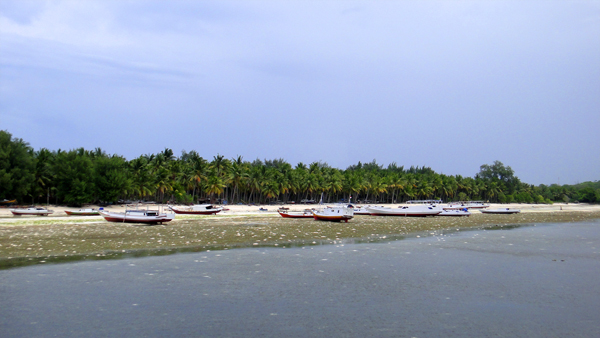 Pesona Pantai Appatanah