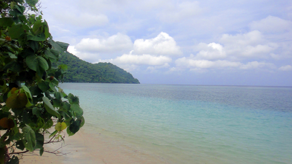 Pantai Dive Resort