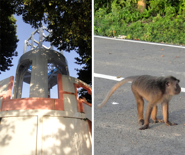 tugu nol km dan monyet