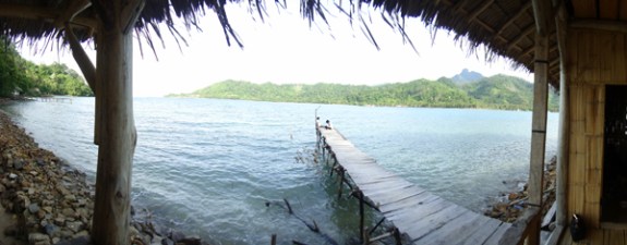 pemandangan dari balkon belakang homestay