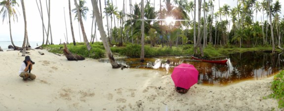 sesi foto : shy-shy cat