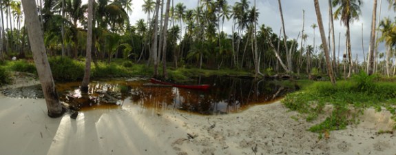 rawa di Palambak Besar