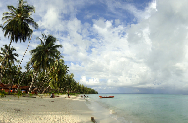 alam Pulau Palambak Besar alam Pulau Palambak Besar
