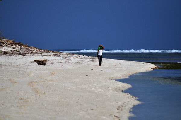 Pantai Tanjung Setia Pantai Tanjung Setia