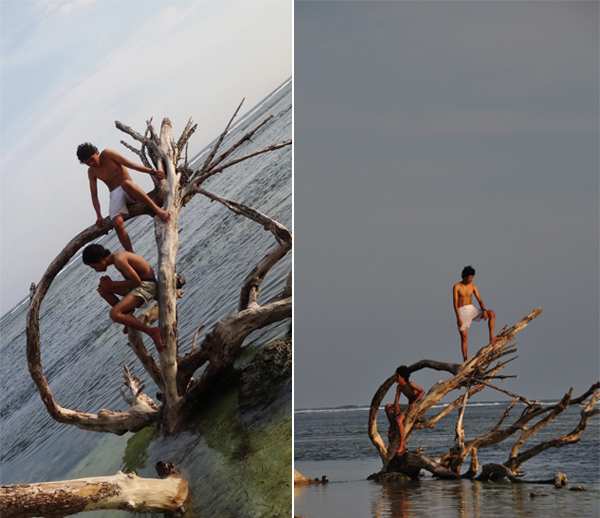 bermain dengan kayu kering di tepi laut