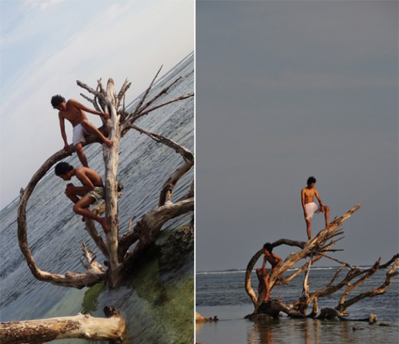 bermain dengan kayu kering di tepi laut