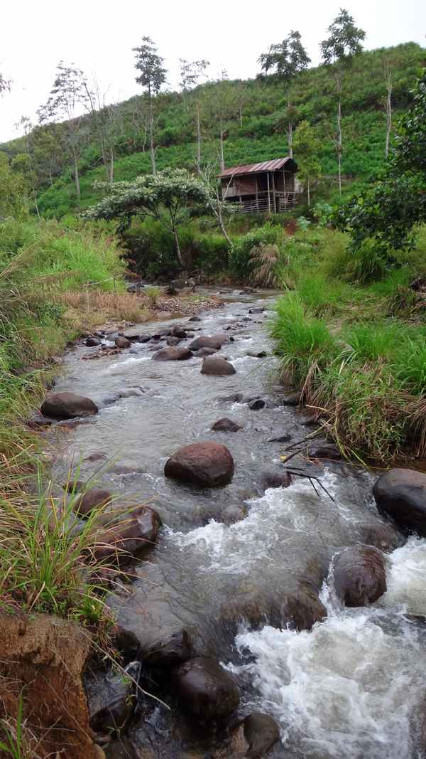 pondok di tepi sungai