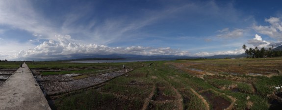 akhirnya menemukan sawah di tepi danau