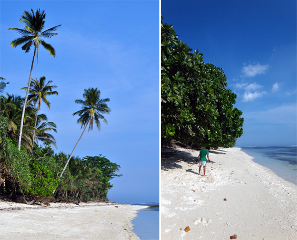 pepohon di pinggir pantai menambah keindahan