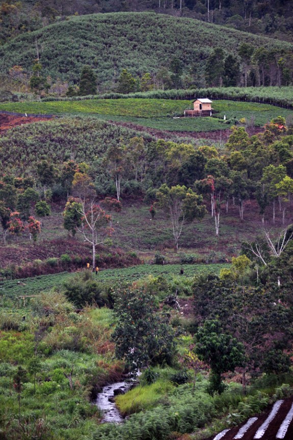 sungai meliuk di antara bukit