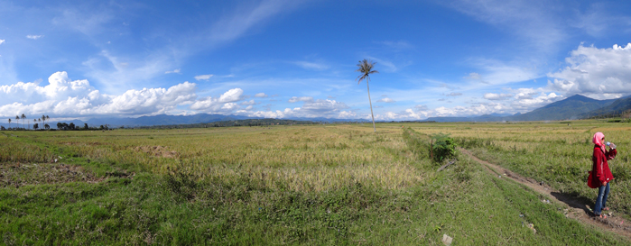 temen jalan gw mejeng di sawah - bule Vietnam :D temen jalan gw mejeng di sawah - bule Vietnam :D