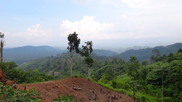 pemandangan perbukitan Lampung Barat