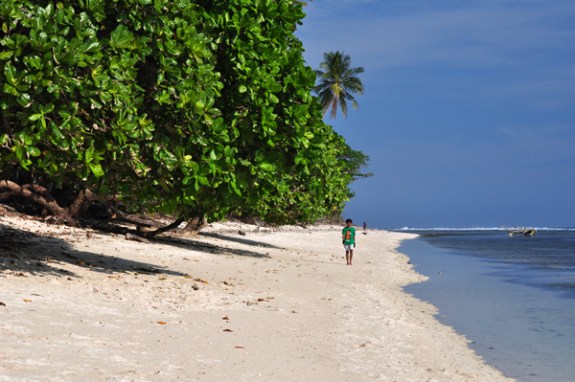 garis pantai berpasir putih