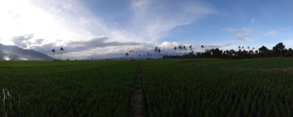 senja menyapa sang malam di persawahan