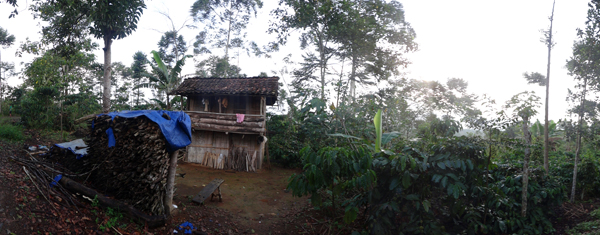 pondok kayu tempat petani kopi mandah