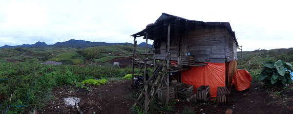 Gunung Raya-Pemandangan menuju Ranah Kayu Embun Gunung Raya-Pemandangan menuju Ranah Kayu Embun