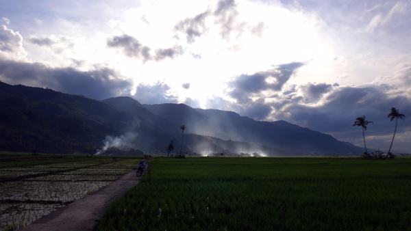 senja menyapa sang malam di persawahan senja menyapa sang malam di persawahan