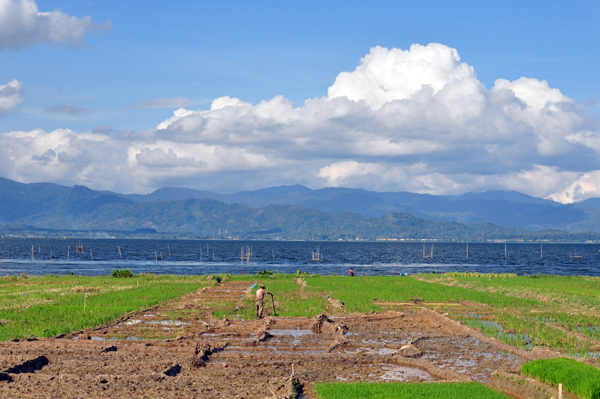 aktivitas petani di tepi danau aktivitas petani di tepi danau