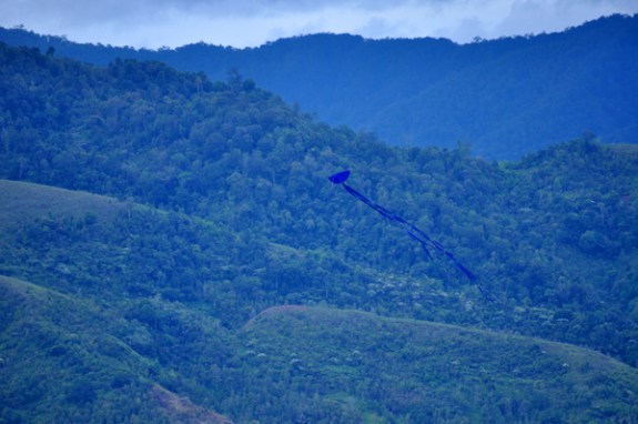 tempat yang cocok untuk bermain layang-layang tempat yang cocok untuk bermain layang-layang