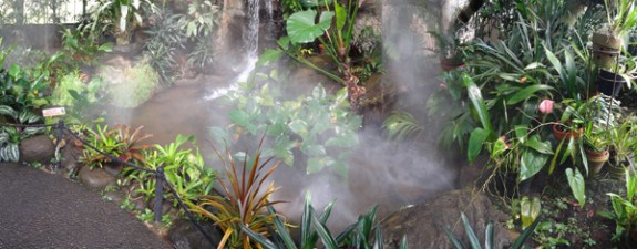 kolam dan air terjun buatan