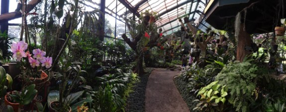 Rumah Anggrek - Kebun Raya Bogor