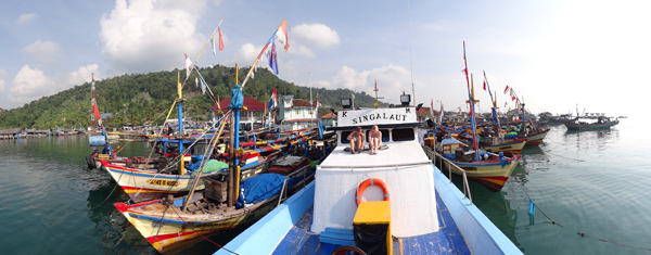 Singa Laut - mengantar kami melintasi Teluk Lampung