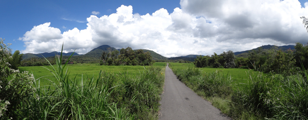 persawahan Lolo - keindahan alam di kecamatan Raya, kabupaten Kerinci , Jambi