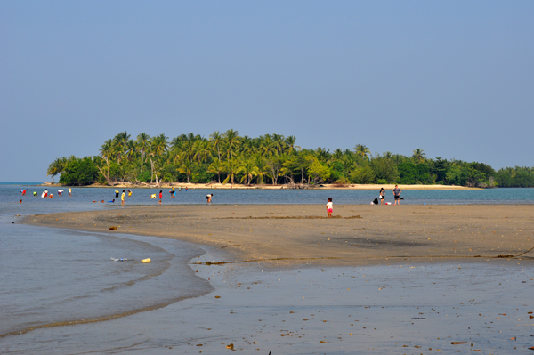 berpacu mencari kerang di pantai surut