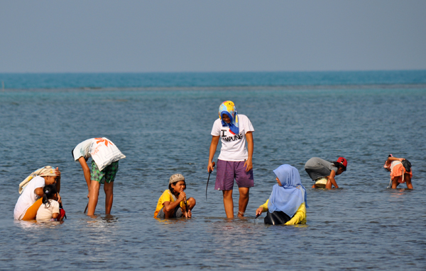 bercengkrama mencari kerang bersama