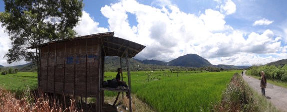 menikmati hembusan angin di persawahan Lolo