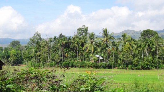 pemandangan di balik tembok pembatas pemandangan di balik tembok pembatas