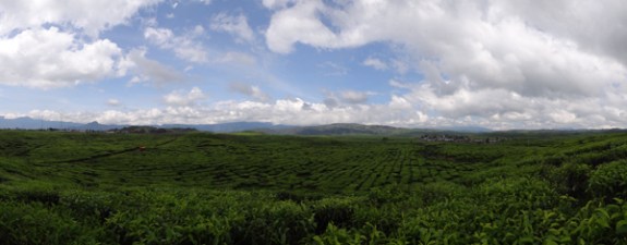 pemandangan di ketinggian 1400-1600 dpl