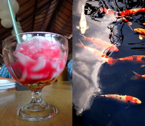 es kelapa campur (kiri) ; ikan koi (kanan) es kelapa campur (kiri) ; ikan koi (kanan)