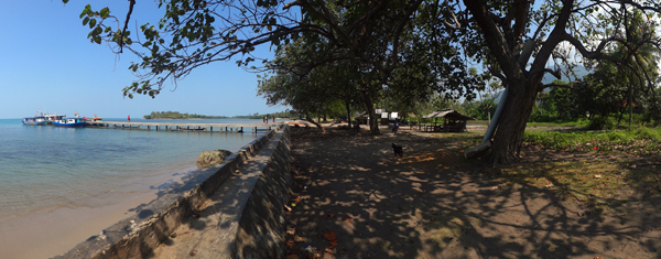 pohon rindah di tepi pantai , tempat berteduh pohon rindah di tepi pantai , tempat berteduh