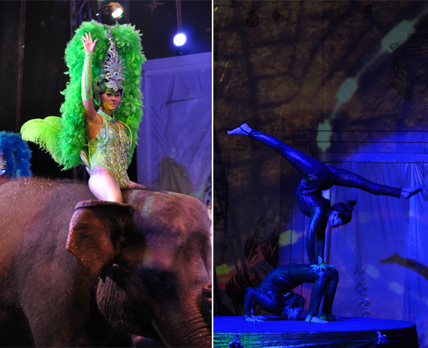 pawang gajah dan akrobatik