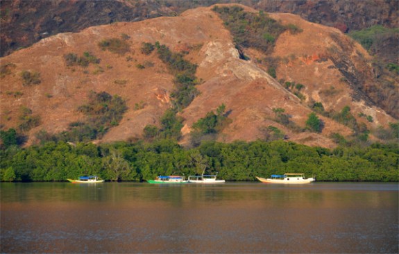 Pesona Flores - Riung Pesona Flores - Riung