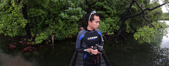 Hutan Mangrove di sekitar danau Hutan Mangrove di sekitar danau