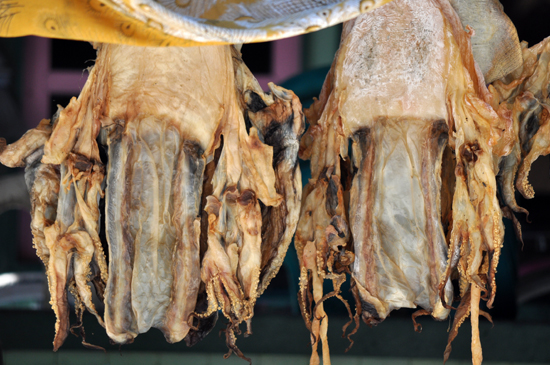 sotong asin khas Derawan 
