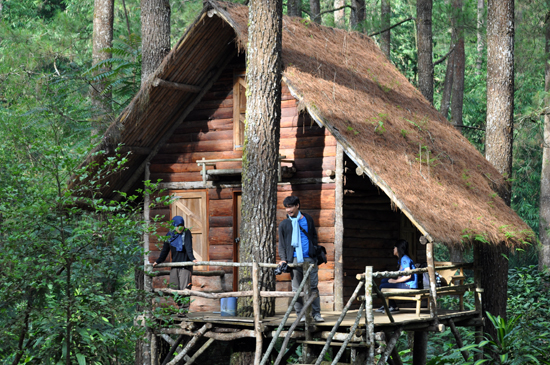 Rumah Pohon -Taman Konservasi Masigit Cikareumbi