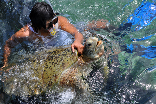 Foto bersama penyu 