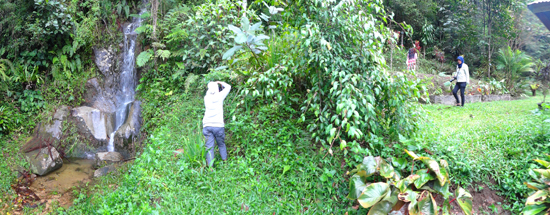 Taman Anggrek Toba di Taman Eden 100