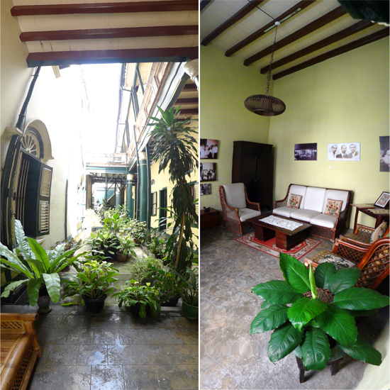 sayap kiri - taman dan ruang kecil