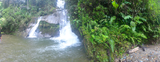 air terjun di antara semak hijau