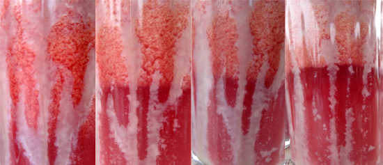 Reaksi Fisika - Juice Terong Belanda