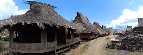 Desa Wologai - antara Ende dan Moni