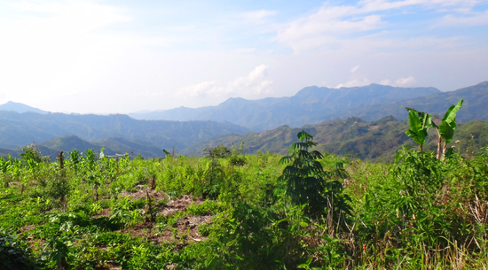 pemandangan indah di puncak bukit