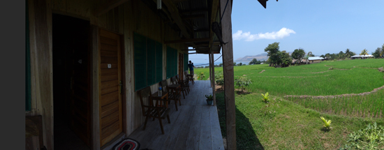 penginapan Bapak Martinus Ango