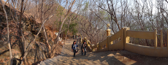 pohon kesambi di kiri kanan tangga menuju bukit
