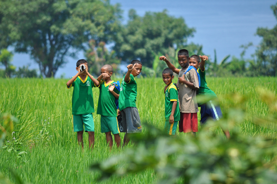 anak - anak bermain di sawah, Dintor