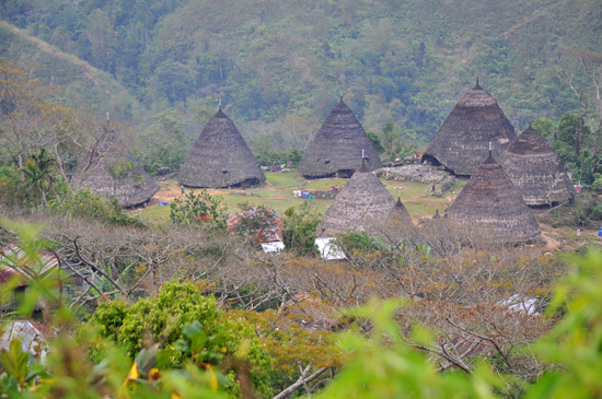 tujuh rumah tradisional - mbaru niang